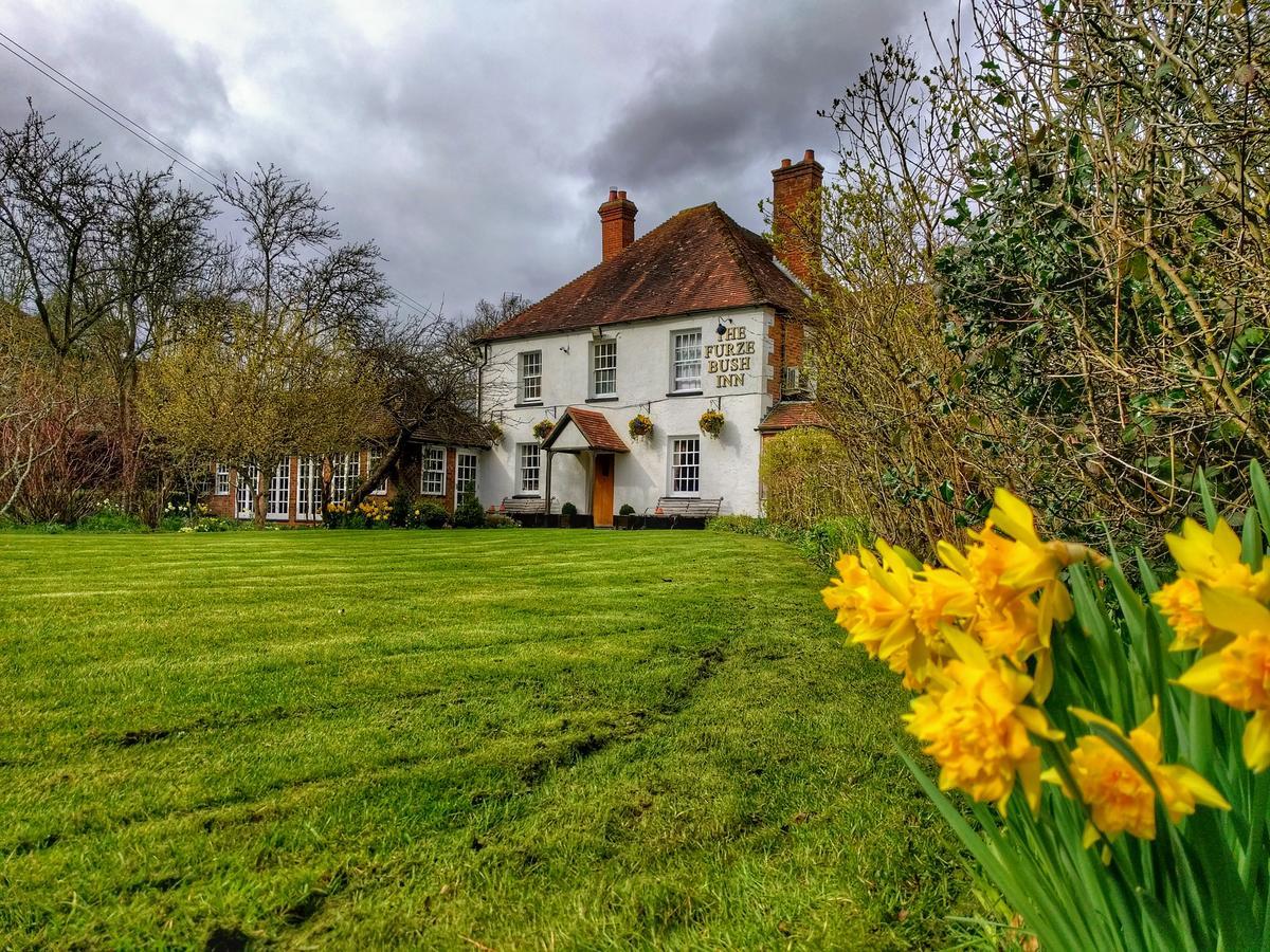 The Furze Bush Inn Ньюбері Екстер'єр фото